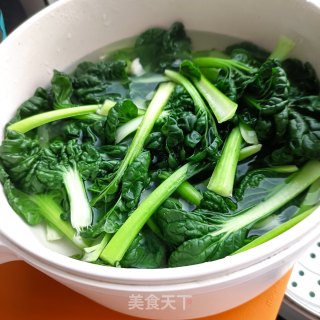 塔菜肉片麻汁火锅的做法步骤：7