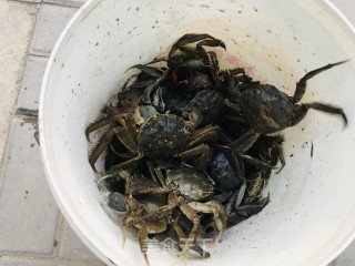 清蒸河蟹的做法步骤：1
