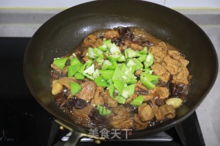 鸡腿豆泡炖粉条的做法步骤：8