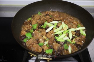 鸡腿豆泡炖粉条的做法步骤：10
