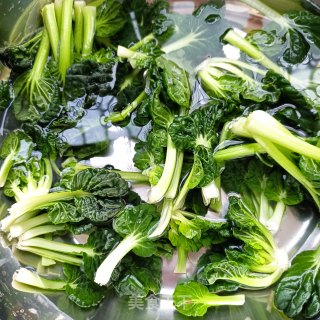 塔菜肥肠煮米粉的做法步骤：3