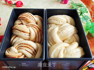 沙拉酱椰蓉（豆沙椰蓉）吐司（一次发酵）的做法步骤：10