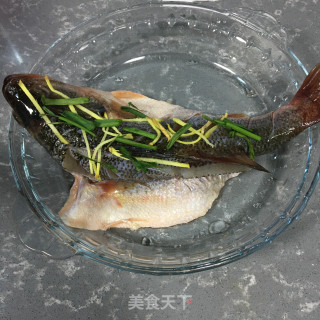清蒸鲈鱼的做法步骤：3