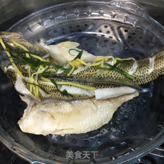 清蒸鲈鱼的做法步骤：4