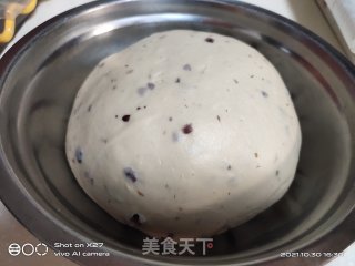 蔓越莓面包的做法步骤：5
