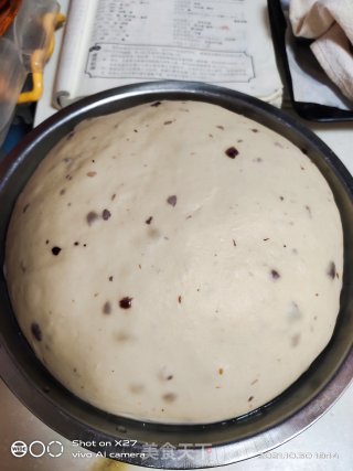 蔓越莓面包的做法步骤：6