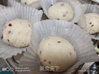 蔓越莓面包的做法步骤：7