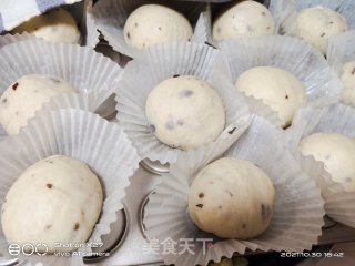 蔓越莓面包的做法步骤：9