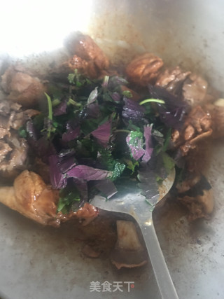 紫苏炒鸭的做法步骤：9