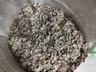 核桃燕麦南瓜糊的做法步骤：3