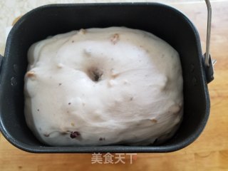 核桃蔓越莓软欧的做法步骤：5