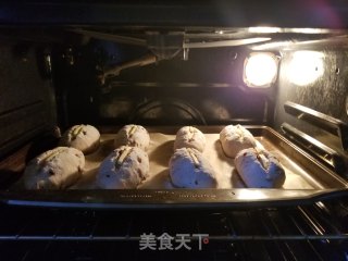 核桃蔓越莓软欧的做法步骤：13