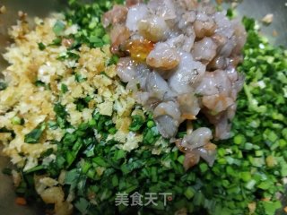 韭菜鸡蛋虾仁水饺的做法步骤：8