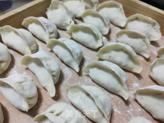 韭菜鸡蛋虾仁水饺的做法步骤：9