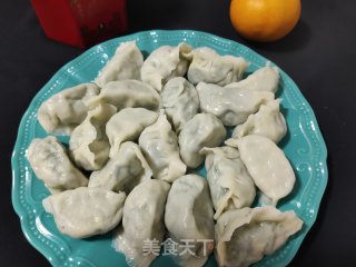 韭菜鸡蛋虾仁水饺的做法步骤：10