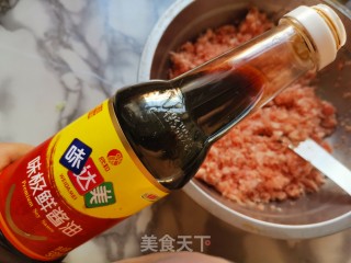 鲜肉汤圆的做法步骤：2