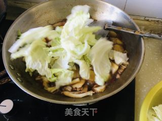 红烧肉白菜炖粉条的做法步骤：9