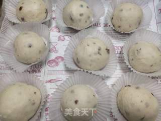 蔓越莓面包的做法步骤：5