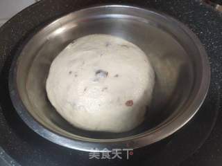 蔓越莓面包的做法步骤：2