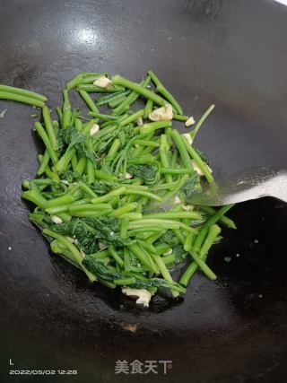 蒜香南瓜苗的做法步骤：4