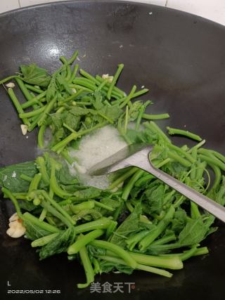 蒜香南瓜苗的做法步骤：3