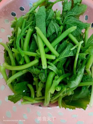蒜香南瓜苗的做法步骤：1