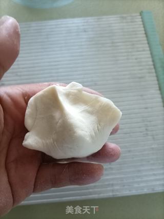 油菜苗水饺的做法步骤：13