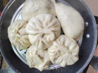 茴香猪肉粉条包的做法步骤：2