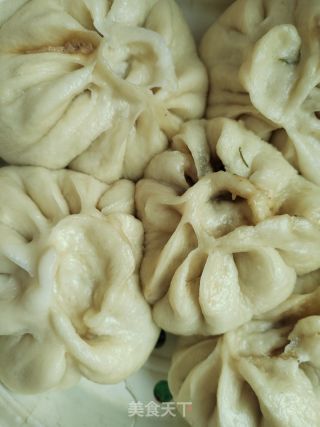茴香猪肉粉条包的做法步骤：1