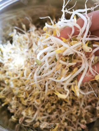 自发绿豆芽的做法