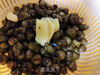 红烧丝螺的做法步骤：1