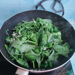青炒萝卜叶菜心的做法步骤：7