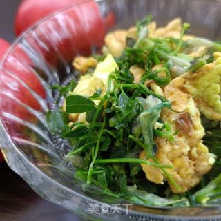 鸡蛋炒野豌豆的做法步骤：13