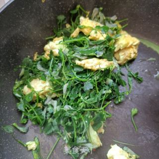 鸡蛋炒野豌豆的做法步骤：12