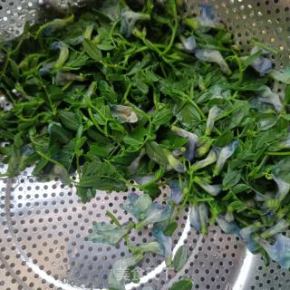 鸡蛋炒野豌豆的做法步骤：7