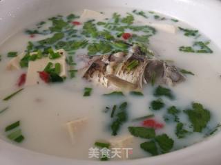 牛奶鲫鱼豆腐汤的做法
