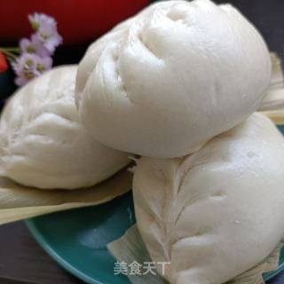 茵陈鲜肉包的做法