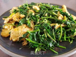 香菜炒鸡蛋的做法