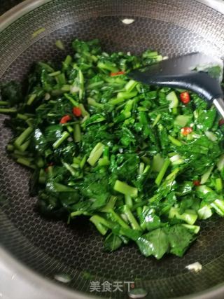 清炒芥兰的做法步骤：3