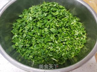韭菜鸡蛋馅包子的做法步骤：2