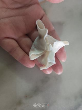 虾仁瘦肉馄饨的做法步骤：16