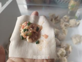 虾仁瘦肉馄饨的做法步骤：13