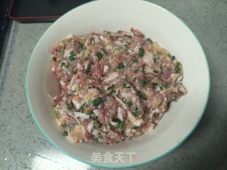 虾仁瘦肉馄饨的做法步骤：10
