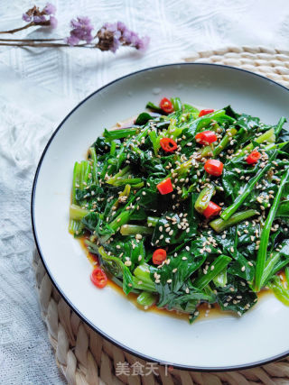 蚝油菠菜的做法