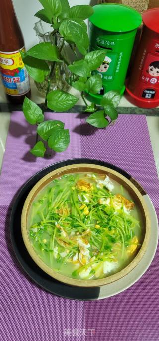 豆苗鸡蛋汤的做法步骤：8