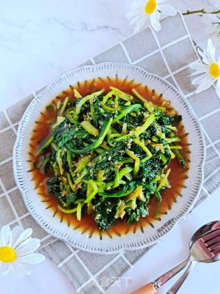 蒜蓉炒油菜的做法