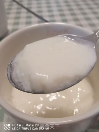 姜撞奶的做法