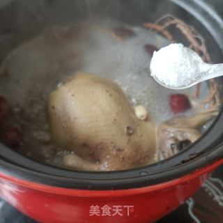 五指毛桃鸽子汤的做法步骤：9