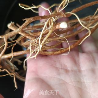 五指毛桃鸽子汤的做法步骤：7