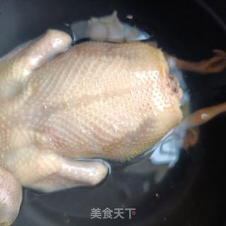 五指毛桃鸽子汤的做法步骤：4